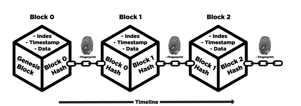 Blockchain Nodes 